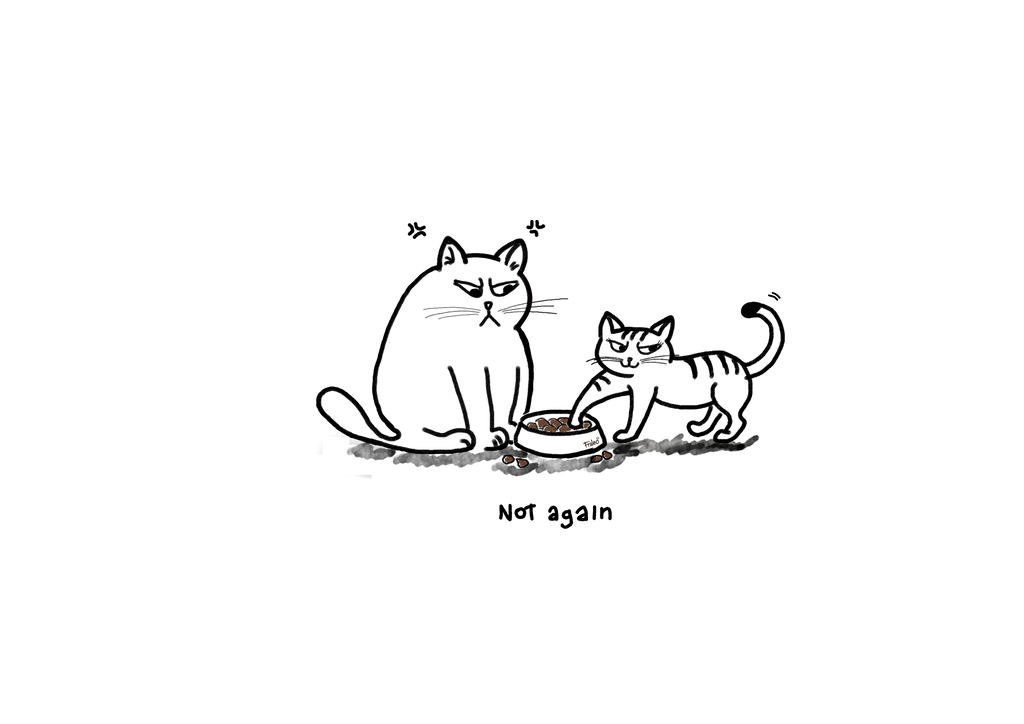 Not Again cat kids T-Shirt Classic Edition by fraleo'