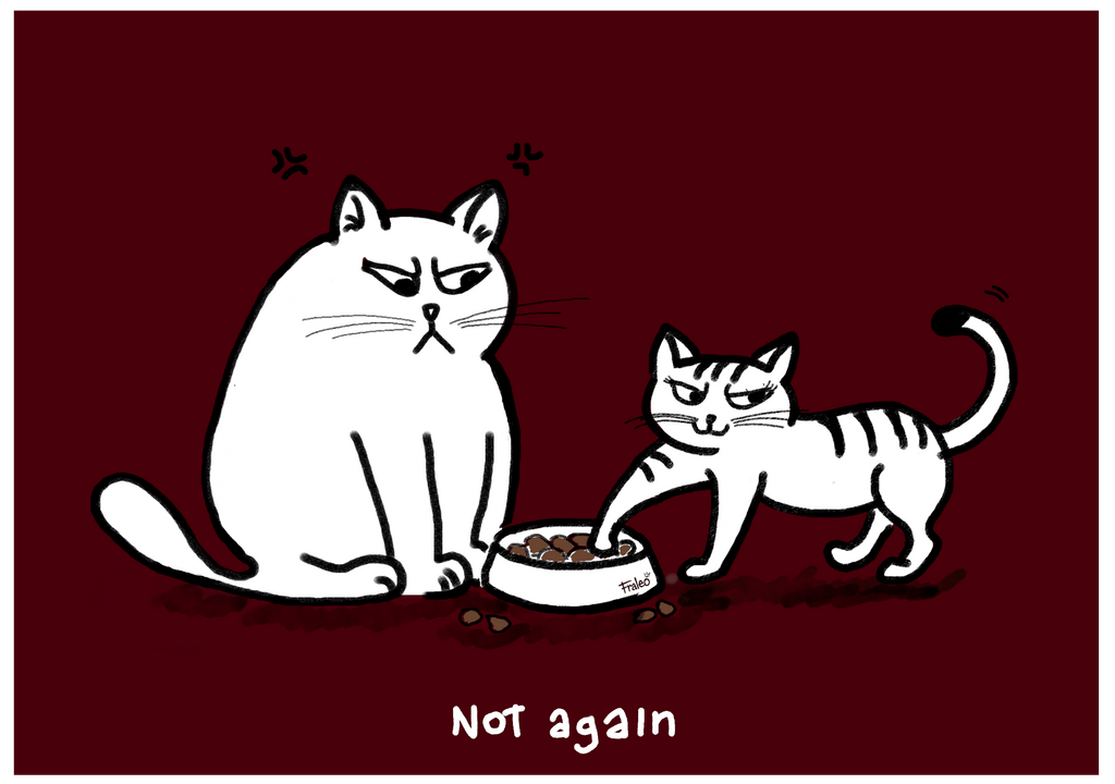 Not Again Cat Kids T-shirt Red Frame edition