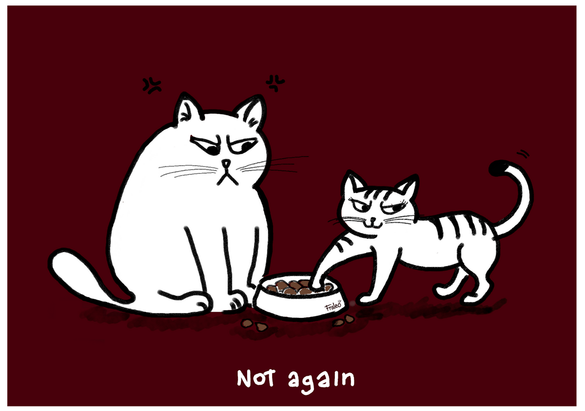 Not Again Cat Kids T-shirt Red Frame edition
